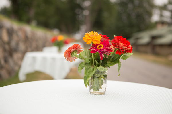PICNIC ZINNIA